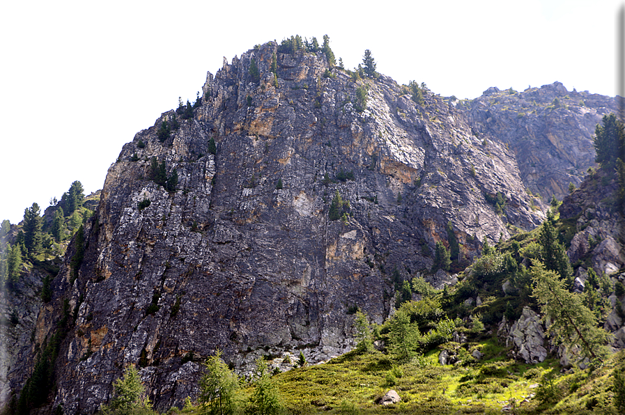 foto Forcella delle Tavarade